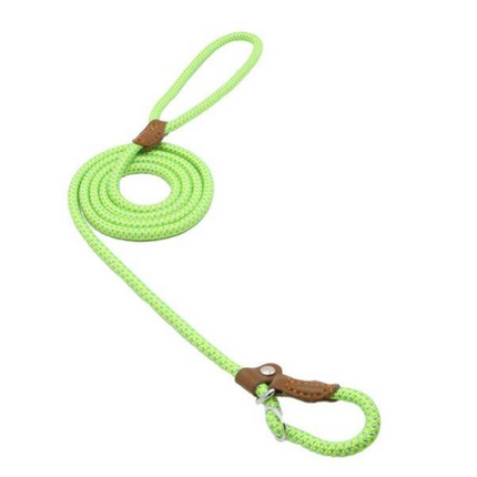 Nylon Pup Set – Honden Halsband & Riem Set