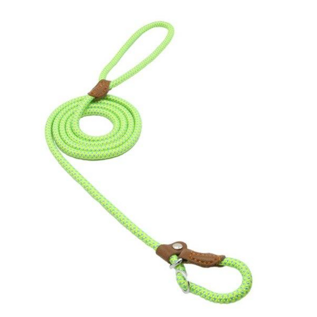 Nylon Pup Set – Honden Halsband & Riem Set