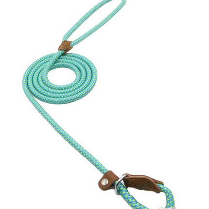 Nylon Pup Set – Honden Halsband & Riem Set