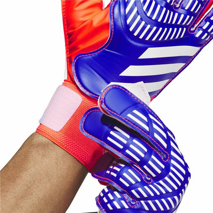 Adidas Keeperhandschoenen Adidas Predator Goalkeeper Multicolour Volwassenen