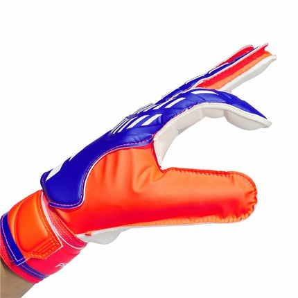 Adidas Keeperhandschoenen Adidas Predator Goalkeeper Multicolour Volwassenen