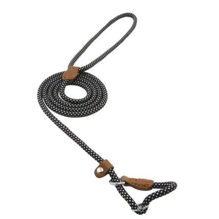 Nylon Pup Set – Honden Halsband & Riem Set