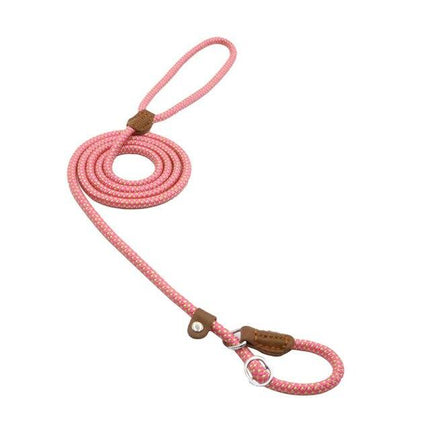 Nylon Pup Set – Honden Halsband & Riem Set