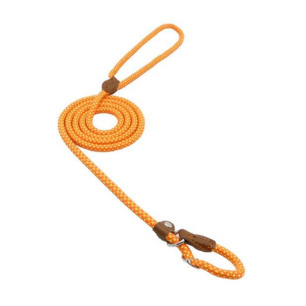 Nylon Pup Set – Honden Halsband & Riem Set