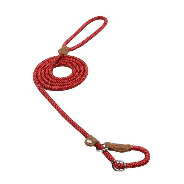 Nylon Pup Set – Honden Halsband & Riem Set